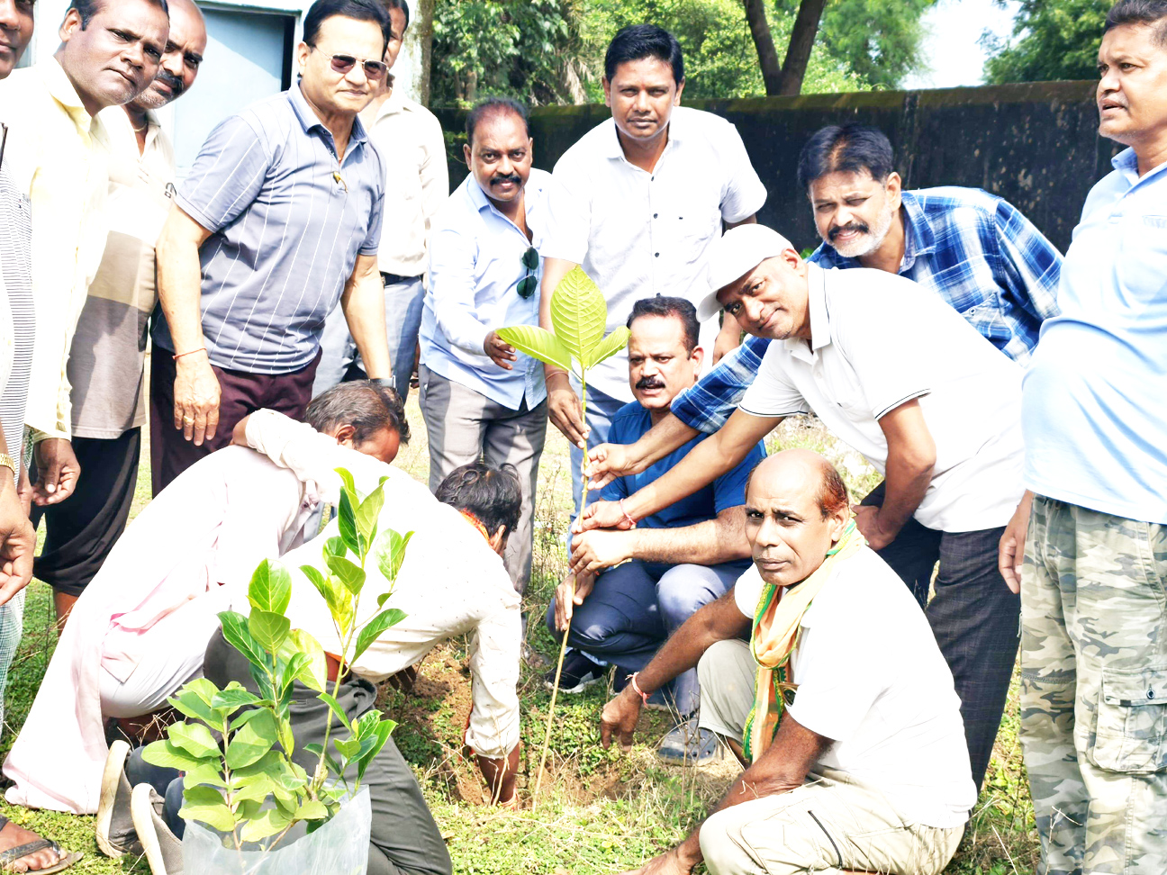 सेवा पखवाड़ा पर स्वच्छता अभियान -पौधरोपण
