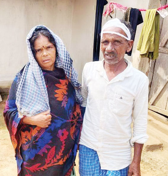 हाथी के हमले से दंपति घायल