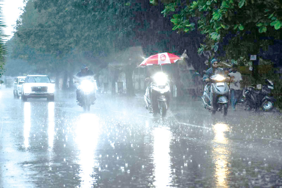 राजधानी और आसपास बारिश जारी  गाज गिरने से 27 बकरे-बकरियों की मौत