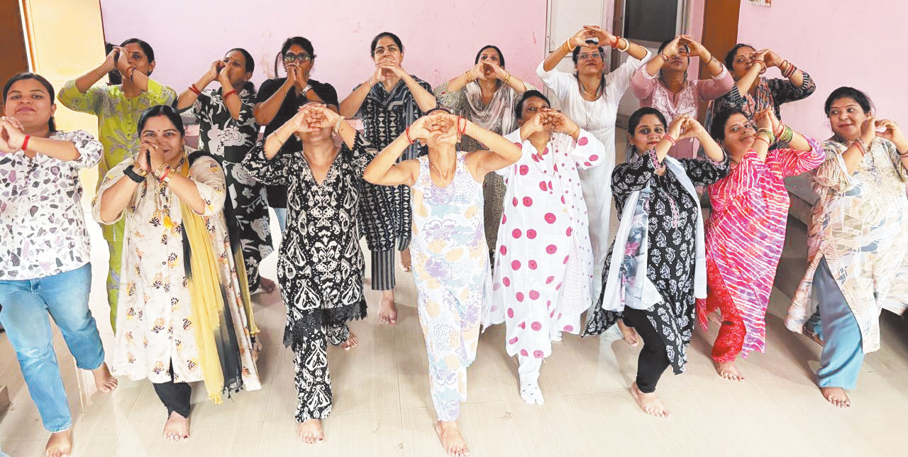 महिला चेम्बर भिलाई का स्वदेशी गरबा 27-28 को