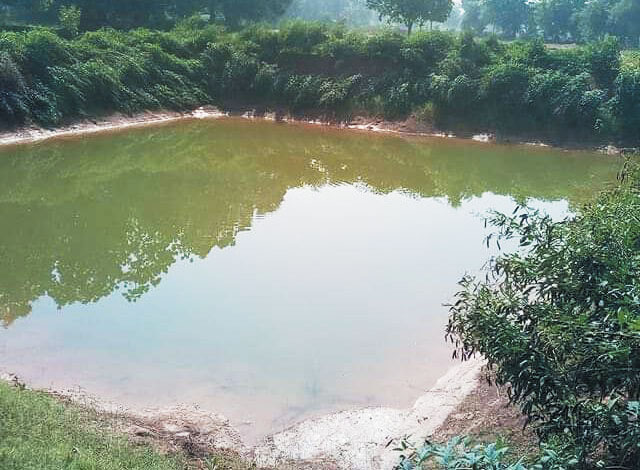 जल संचय जन भागीदारी अभियान में रायगढ़ की राष्ट्रीय उपलब्धि