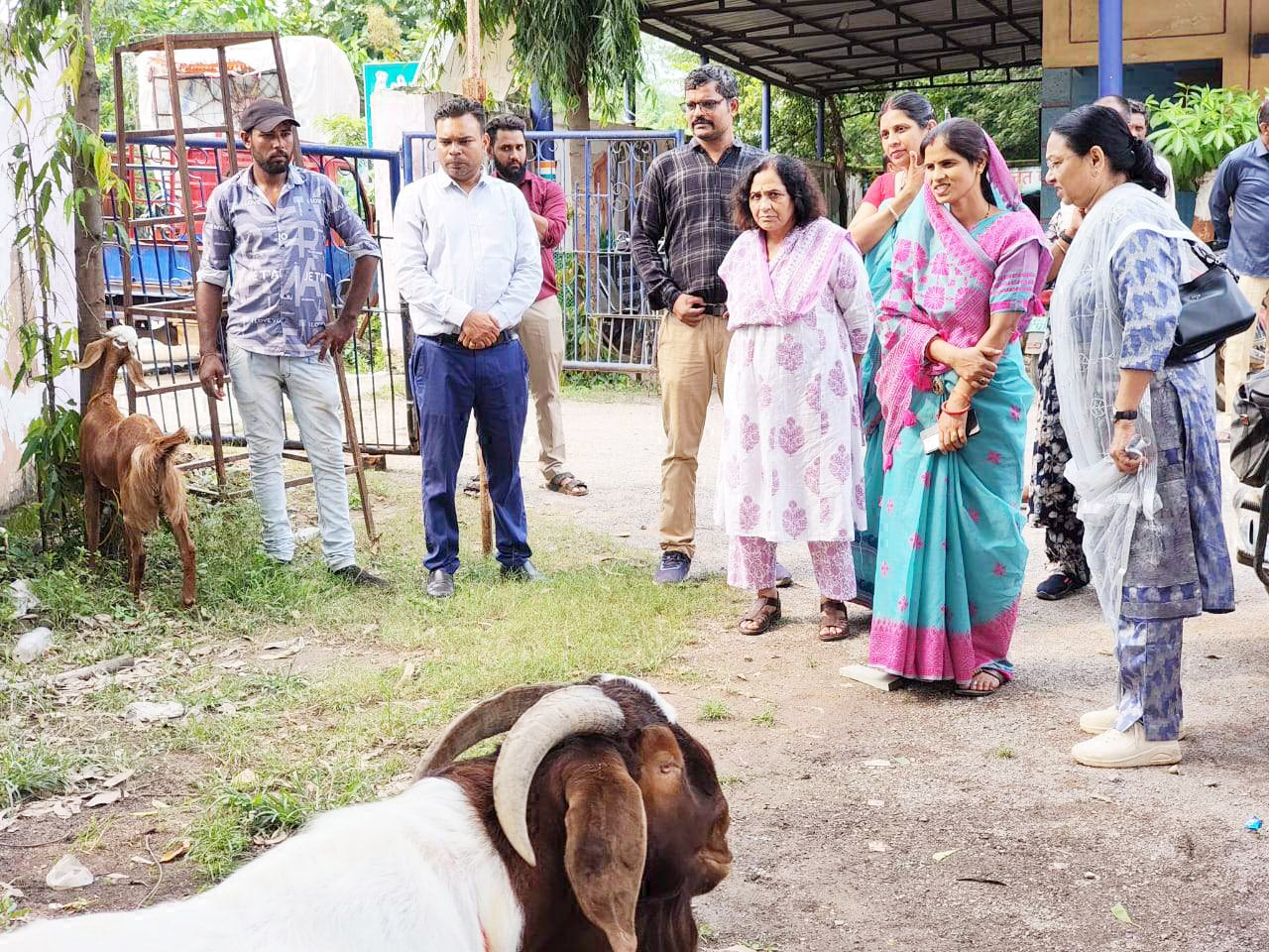 छत्तीसगढ़ रजत महोत्सव : पशु मेला व  चिकित्सा शिविर में शामिल हुए पशुपालक