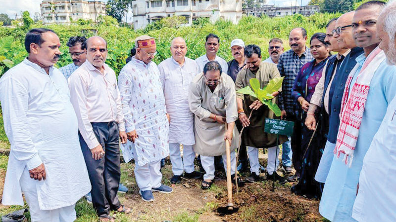 सेवा पखवाड़ा: भाजपाइयों ने पौधारोपण कर पर्यावरण को हरा-भरा बनाने का लिया संकल्प