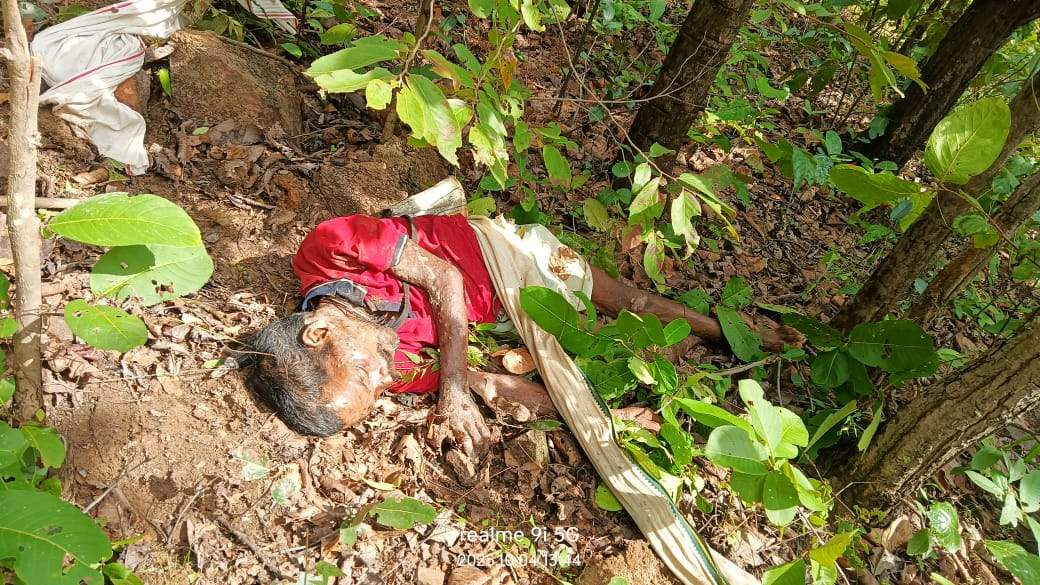 हाथियों के हमले में ग्रामीण की मौत