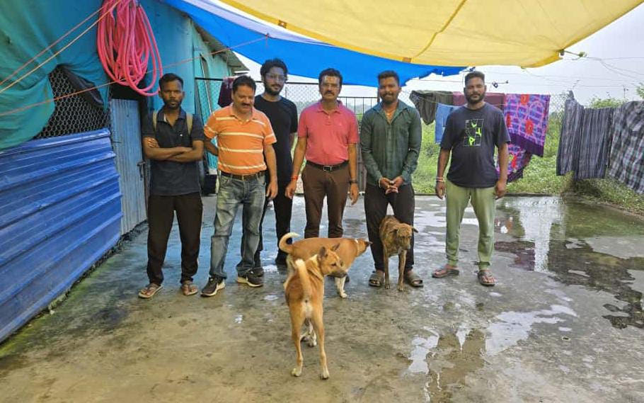 महापौर ने किया डॉग शेल्टर का दौरा, कई मुद्दों पर चर्चा