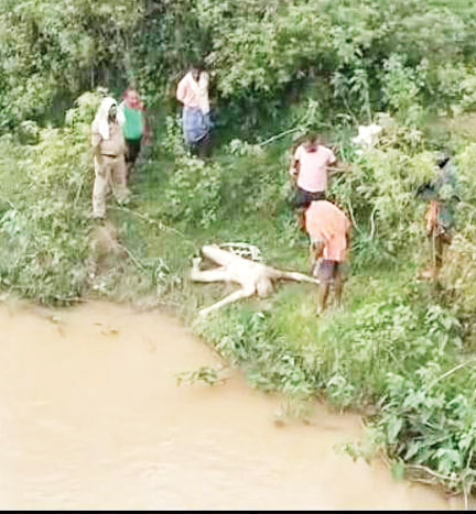 नदी पुलिया के नीचे मिली लाश