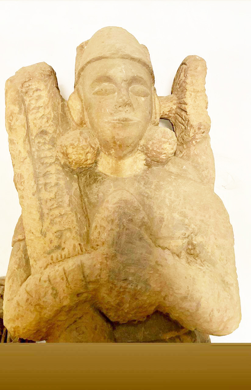 सीनियर चिकित्सक शर्मा ने किया प्राचीन मूर्ति का रिसर्च