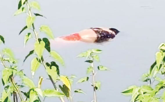 तालाब में मां-बेटी की लाश मिली, जांच