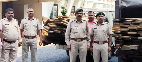 अवैध इमारती लकड़ी जब्त, एक आरोपी गिरफ्तार