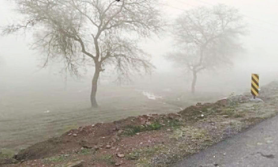 गुलाबी ठंड ने दी दस्तक