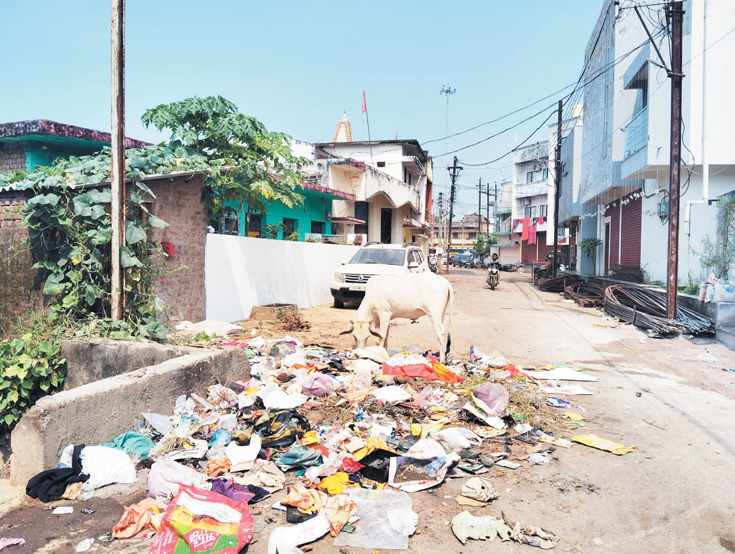 कुरुद के वीआईपी वार्ड में लगा कचरे का ढेर