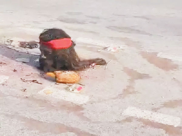 सडक़ पर मिला पुतले का कटा सिर, पुलिस जांच की मांग