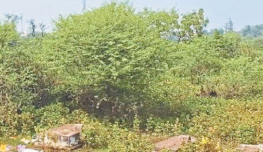 पिकरी मुक्तिधाम में उन्नयन योजना तीन साल से ठप