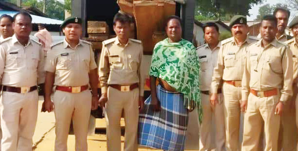 बीजा लकड़ी का भंडारण पर कार्रवाई, 30 चिरान बरामद