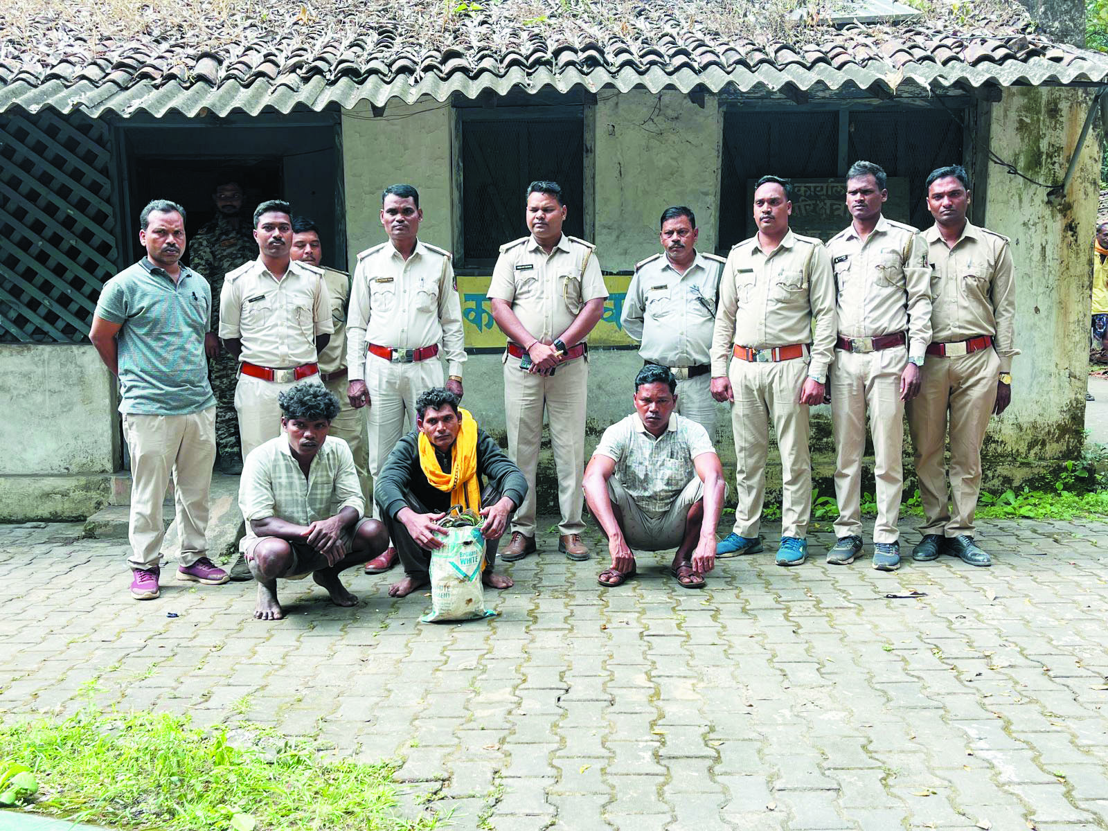 तमनार वन परिक्षेत्र में हाथी की  मौत, तीन आरोपी गिरफ्तार