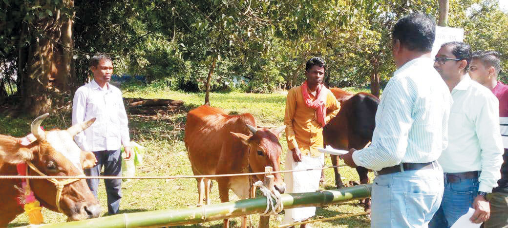 जडक़ोंगा में पशु मेला और प्रदर्शनी का आयोजन