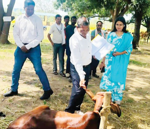 चारभाटा में पशु मेला व प्रदर्शनी