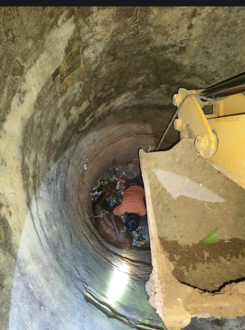 कुएं में गिरी बछिया, कड़ी मशक्कत के बाद बाहर निकाला