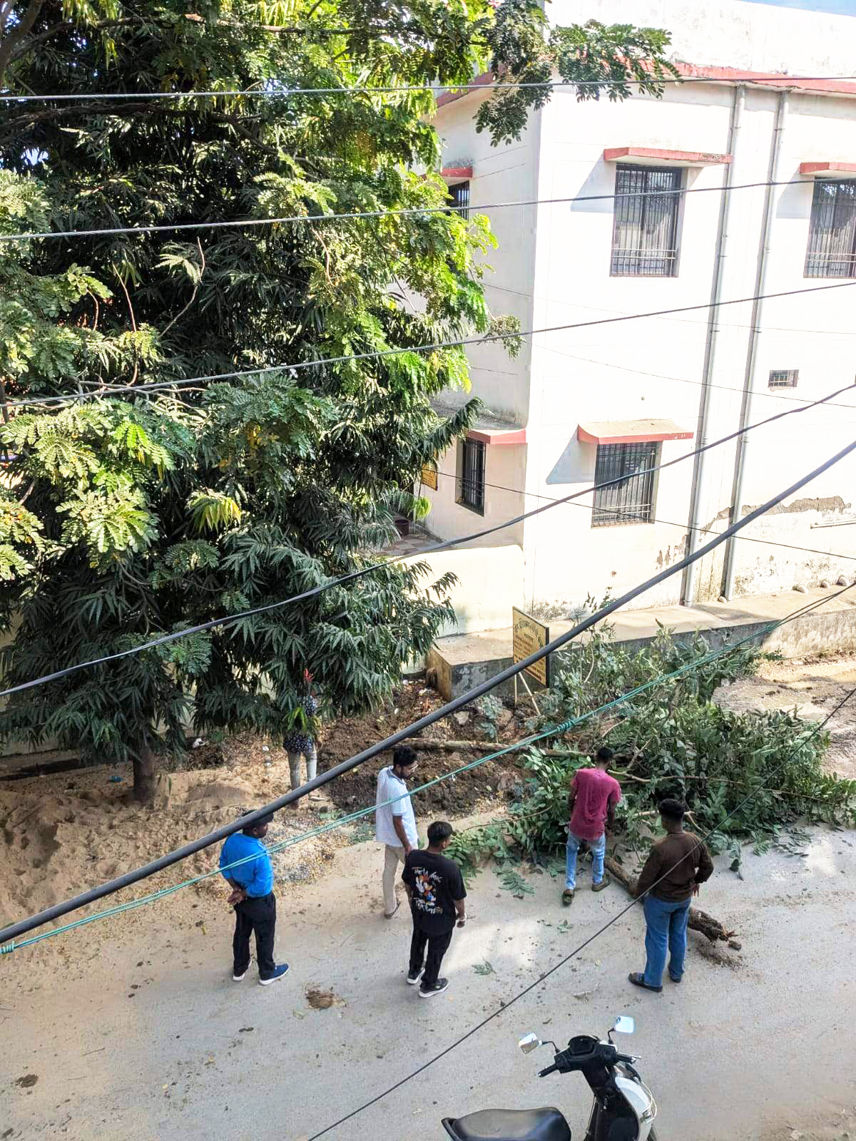 जिला अस्पताल परिसर में पेड़ कटाई का मामला चर्चा में