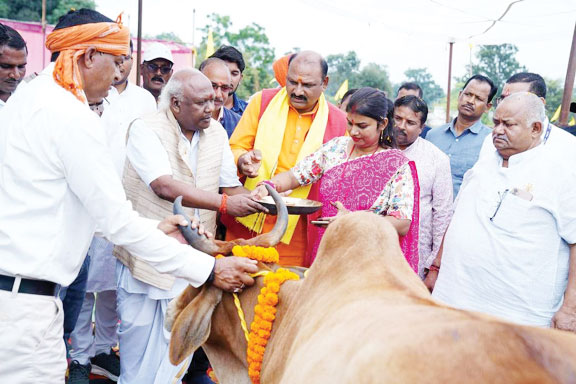   गोपाष्टमी पर विशाल गोवर्धन पूजा