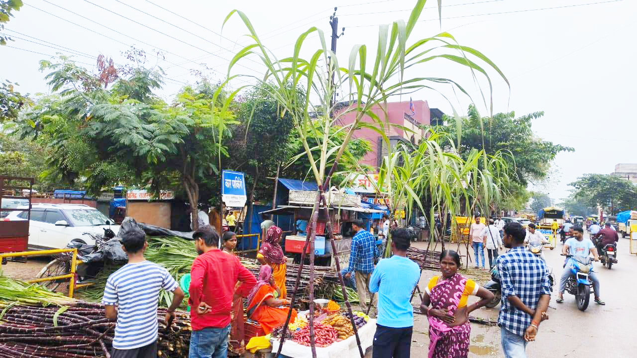 मंडप सजाकर तुलसी का विवाह