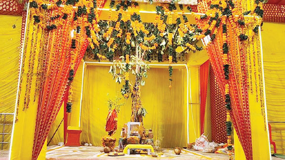 तुलसी विवाह और देवउठनी पर्व की धूम