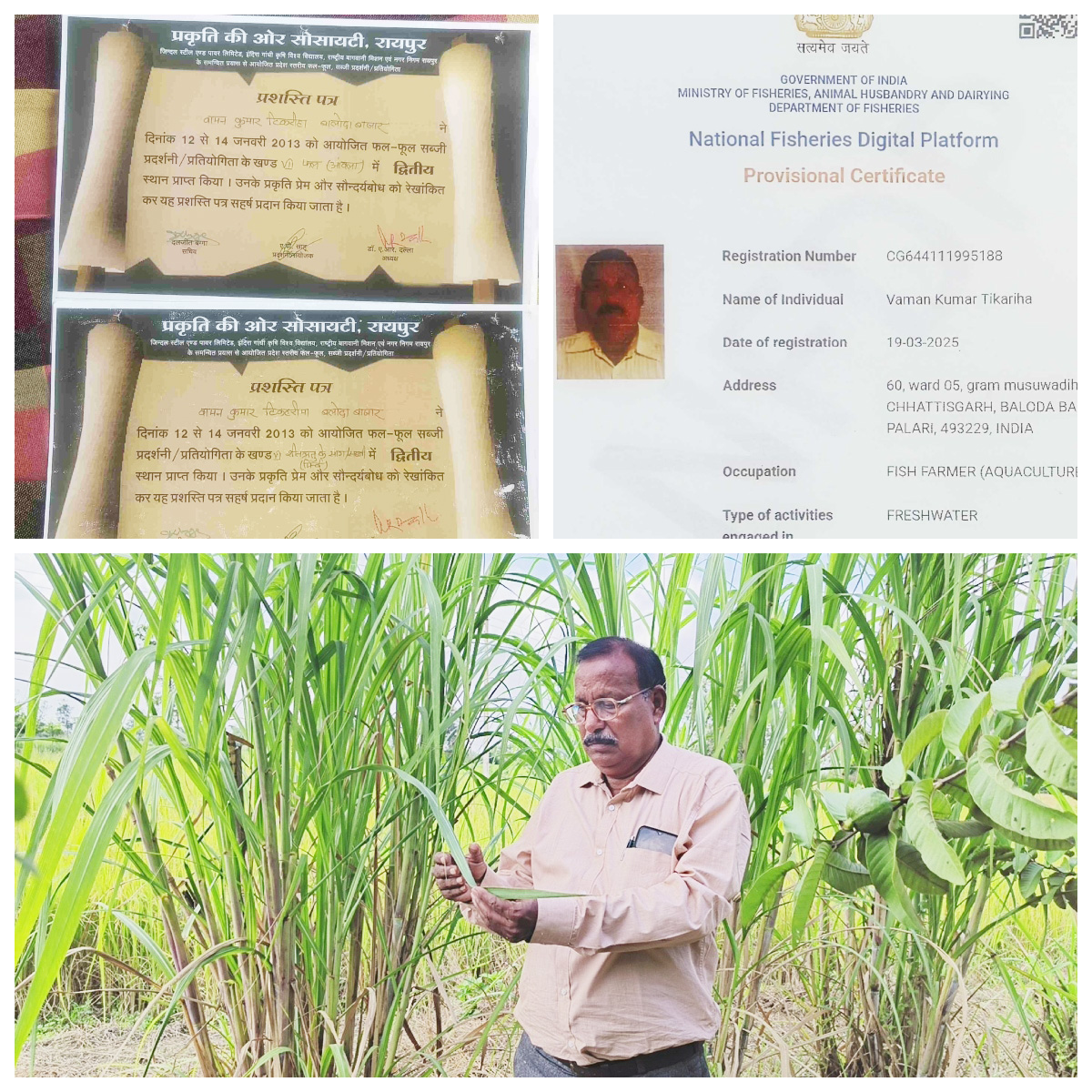 बलौदाबाजार के वामन टिकरिहा को मिलेगा डॉ. खूबचंद बघेल कृषक रत्न पुरस्कार