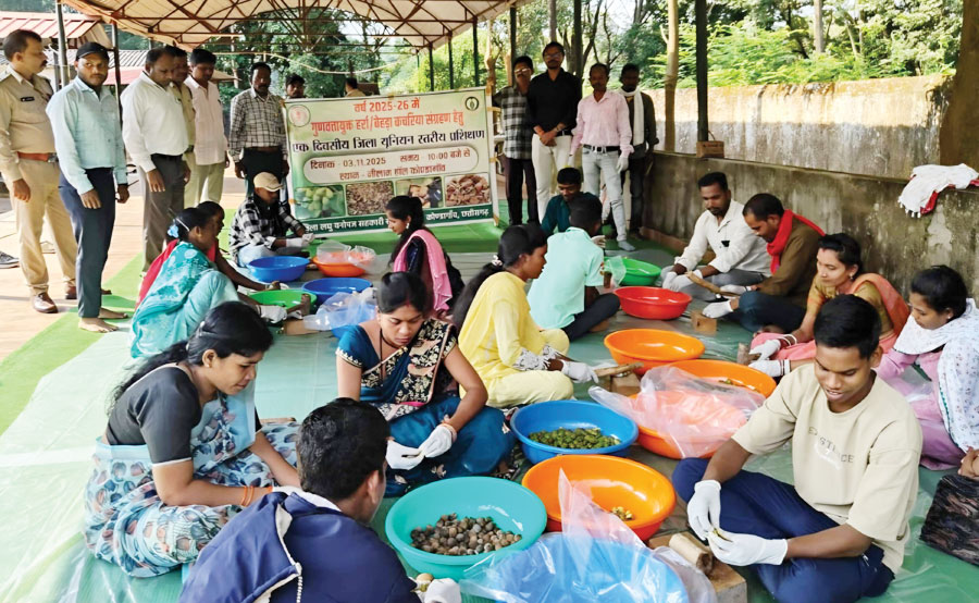 हर्रा-बहेड़ा कचरिया संग्रहण के लिए प्रशिक्षण