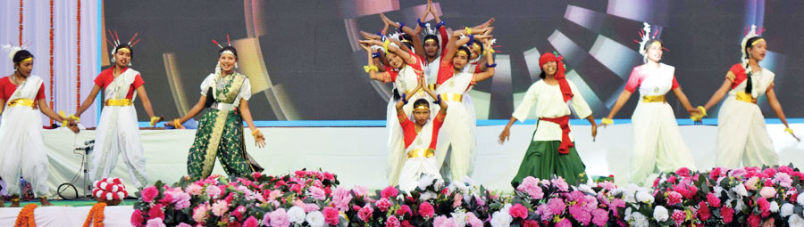 जिला स्तरीय राज्योत्सव समारोह का शानदार समापन