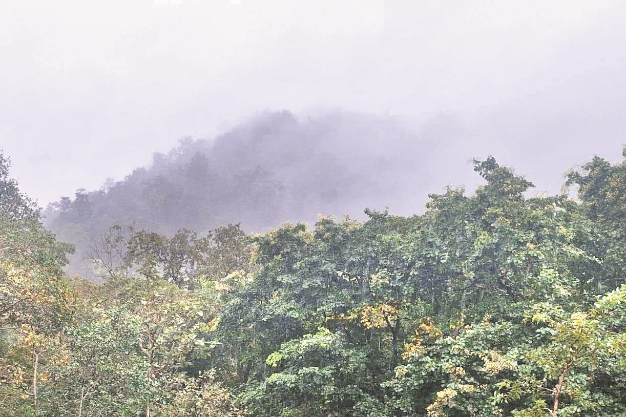 सर्दीली हवाओं से दिन-रात का पारा गिरा