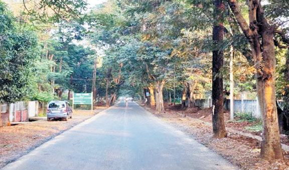 जगदलपुर के पल्ली नाका समीप से नवोदय विद्यालय तक सडक़ चौड़ी