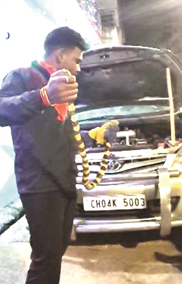 कार की बोनट में घुसा जहरीला सांप