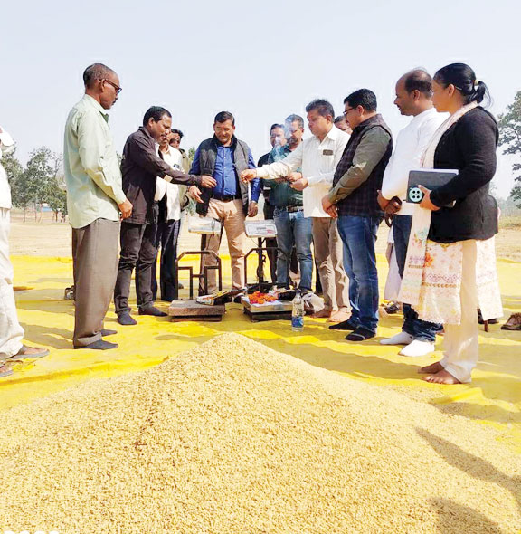 भवरमाल में धान खरीदी का शुभारंभ, किसानों में उत्साह