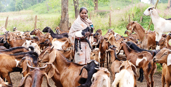 बिहान से गनेशी बाई आत्मनिर्भरता की राह पर