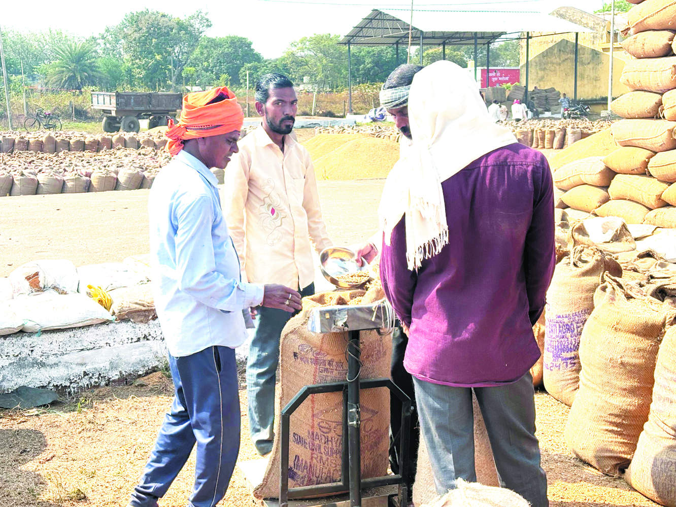 साढ़े 51 हजार टन   से अधिक धान  की खरीदी