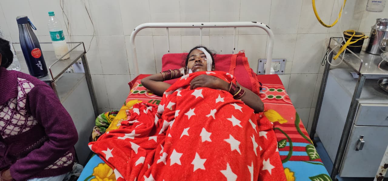 बाइक से टकरा ऑटो पलटी, 12 जख्मी