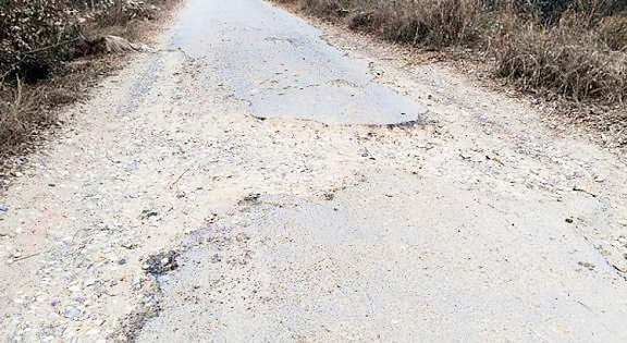 बलौदाबाजार-सुहेला मार्ग का हाल बदहाल, गड्ढों से राहगीर परेशान