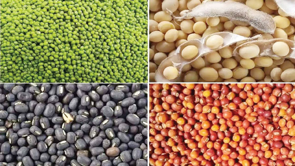 अरहर, मूंग, उड़द, और मूंगफली की एमएसपी पर खरीदी, नाफेड कल से 30 मई तक करेगा