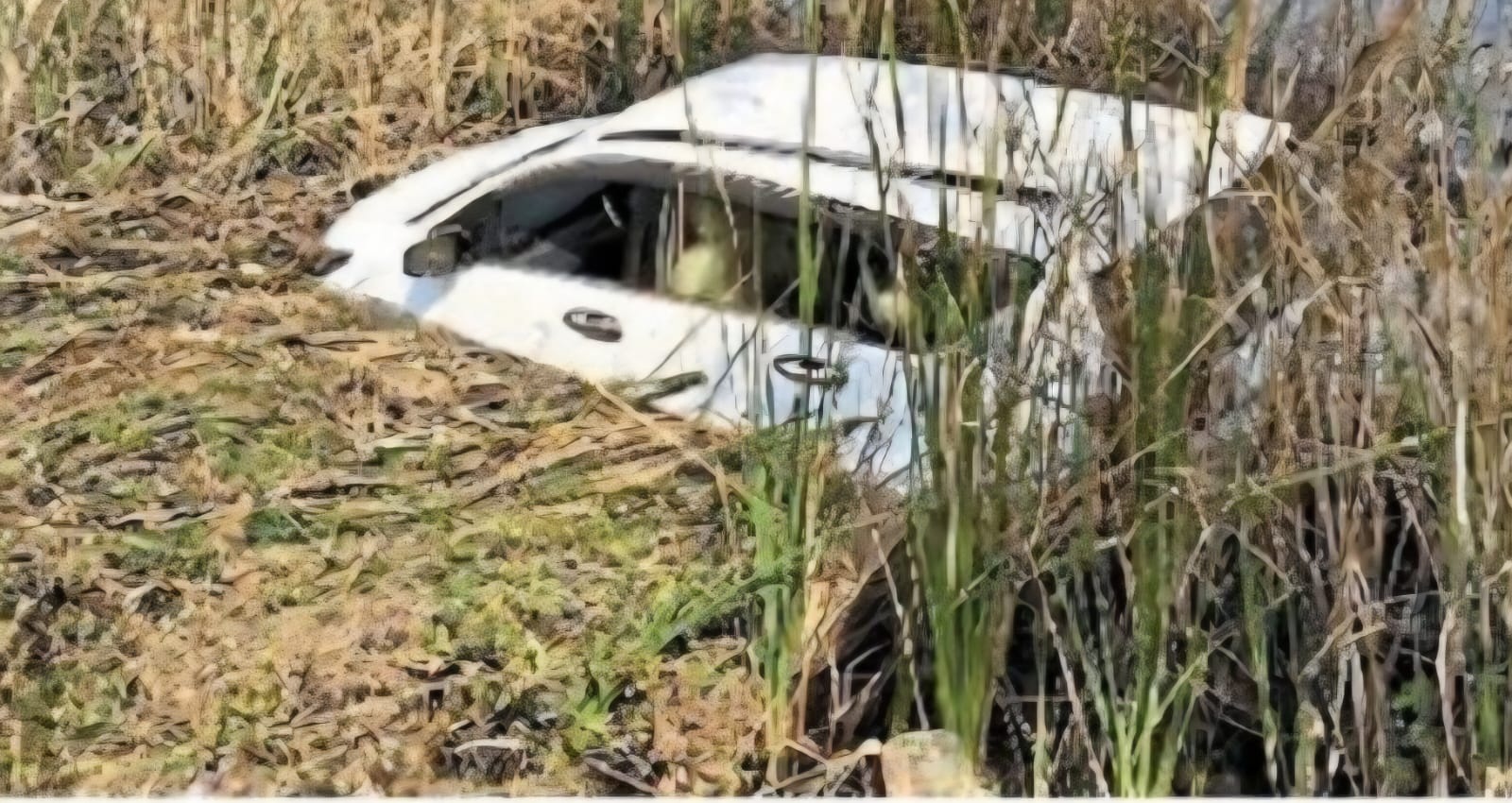 रिटायर अधिकारी की ‘सरकारी’ कार तालाब में डूबी, चालक बचा