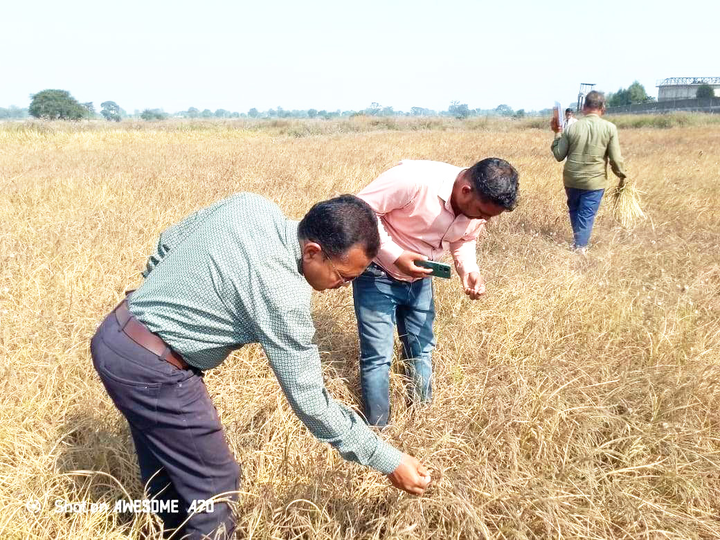 हाइवे किनारे प्लांट के काले जहरीले धुएं से श्वसन संबंधी रोग बढ़े, हजारों एकड़ खेत भी बर्बाद