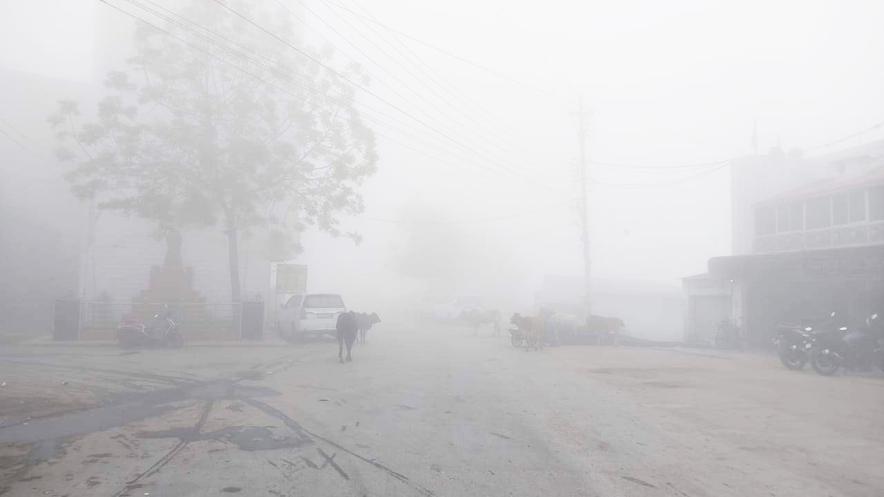 अंचल ने ओढ़ी घने कोहरे  की चादर, दृश्यता घटी