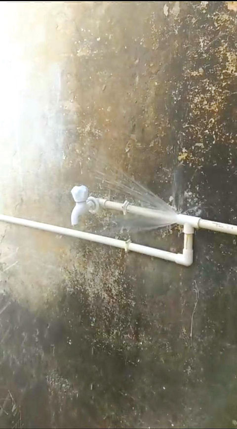 न बच्चों की प्यास देखी जा सकी, न पौधों की हरियाली