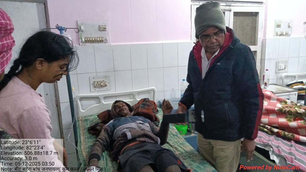 हाथी ने ग्रामीण को किया घायल, 6 मवेशियों को मारा