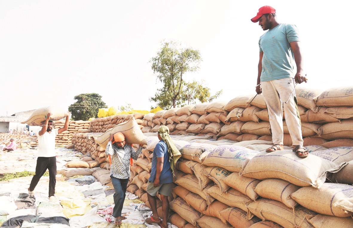एक लाख टन से अधिक धान खरीदी