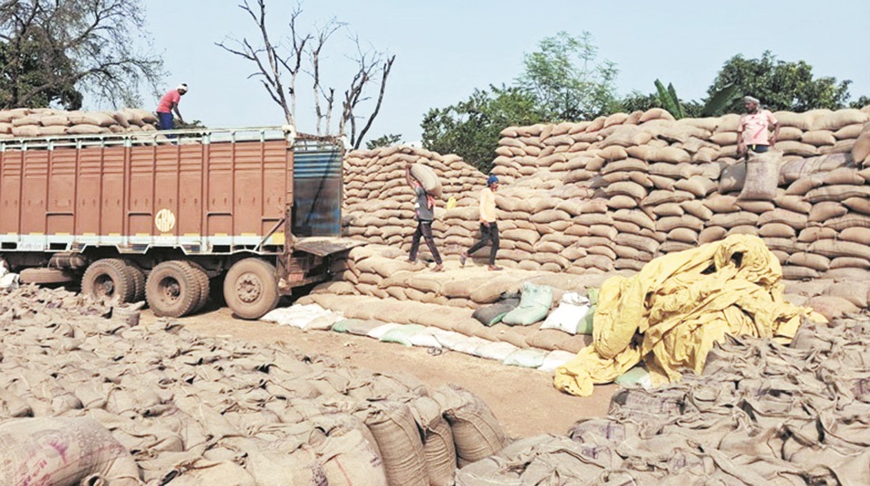 एक लाख क्विंटल से अधिक धान उठाव के लिए डीओ जारी