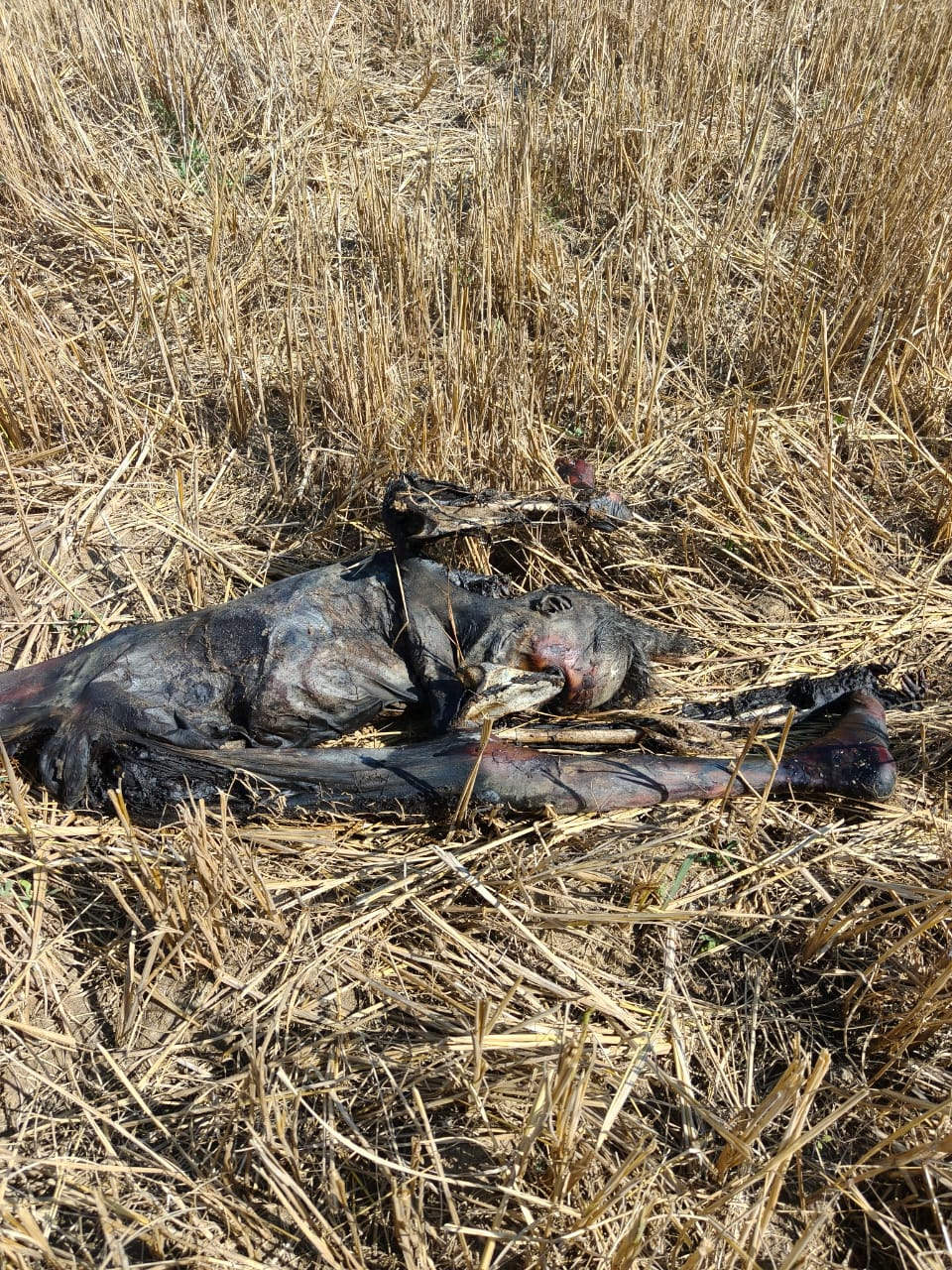 ​एक ही दिन में दो लोगों की मिली लाश, जांच में जुटी पुलिस