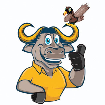 प्रियदर्शिनी स्टेडियम में 11 से होगा संभाग स्तरीय बस्तर ओलम्पिक