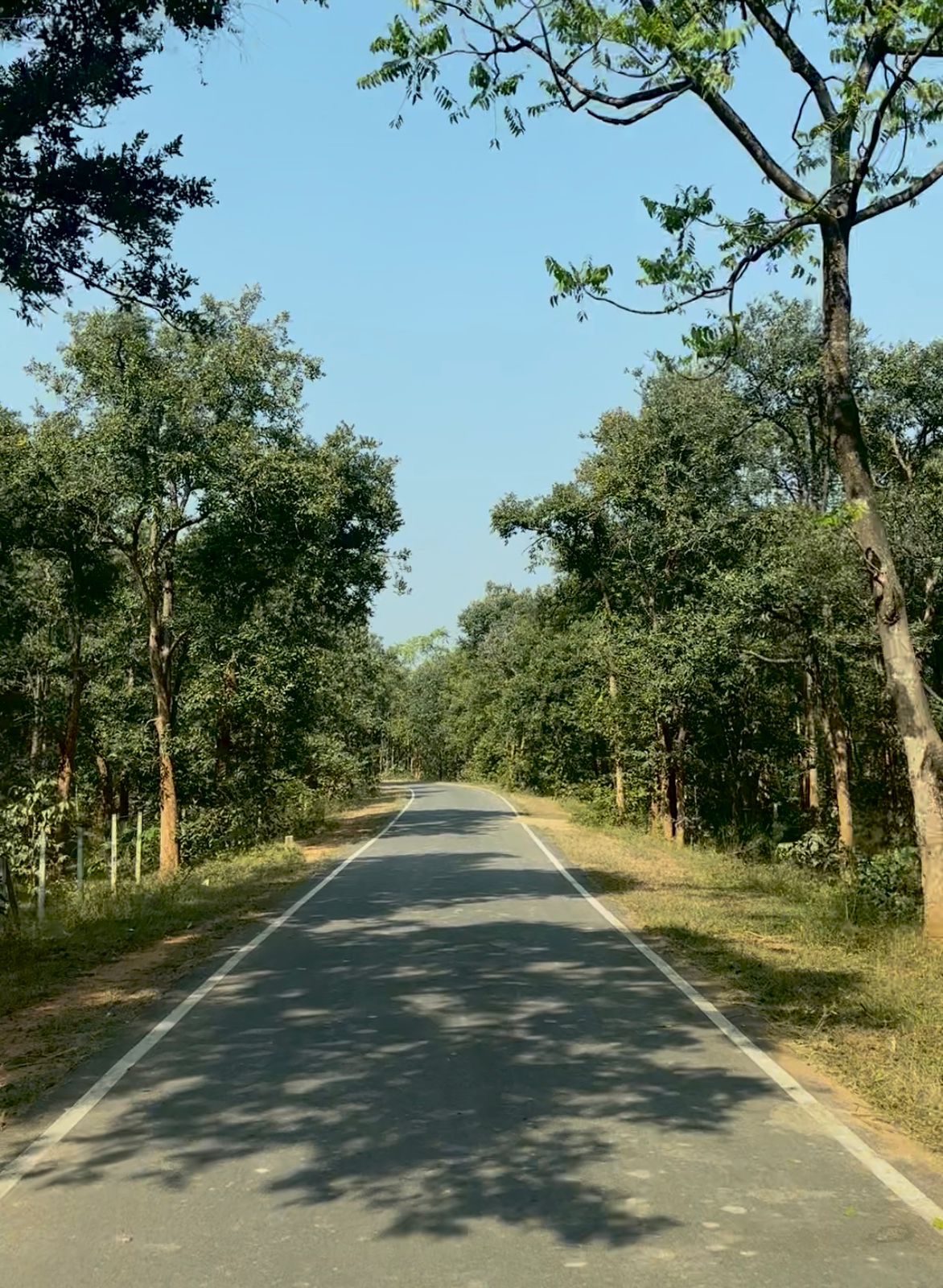 पीएम जनमन योजना से बदली ग्राम  बांसकुड़ा कमार बस्ती की तस्वीर