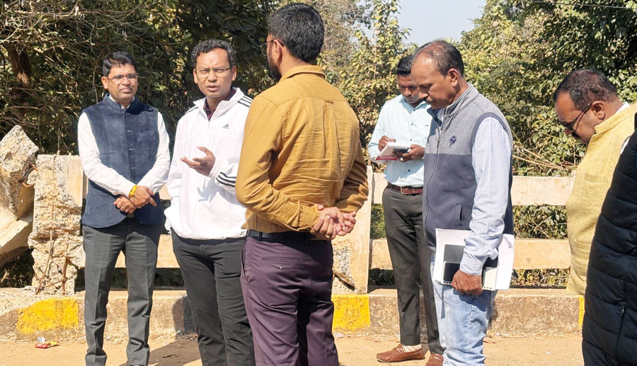 कलेक्टर ने पुलों का लिया जायजा