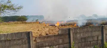 पेट्रोल पंप और स्कूल के पास खेत में  जलाई पराली,  दमकल ने बुझाई आग